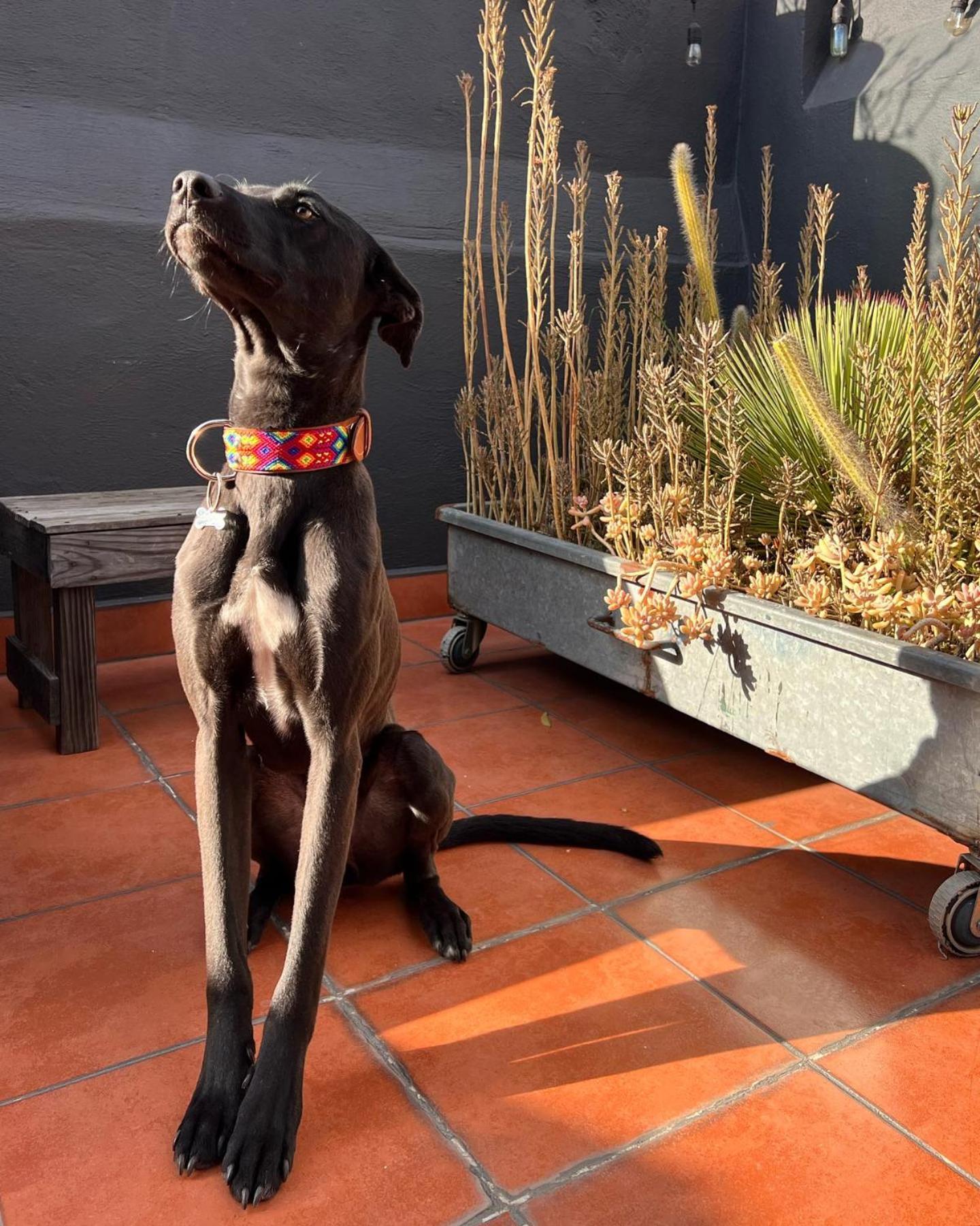Hotel Boutique Casa Catala Tlaxcala Zewnętrze zdjęcie
